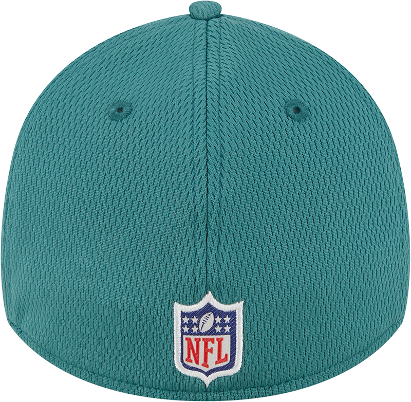 Philadelphia Eagles New Era 2023 NFL Training Camp 39THIRTY Flex Hat - Green