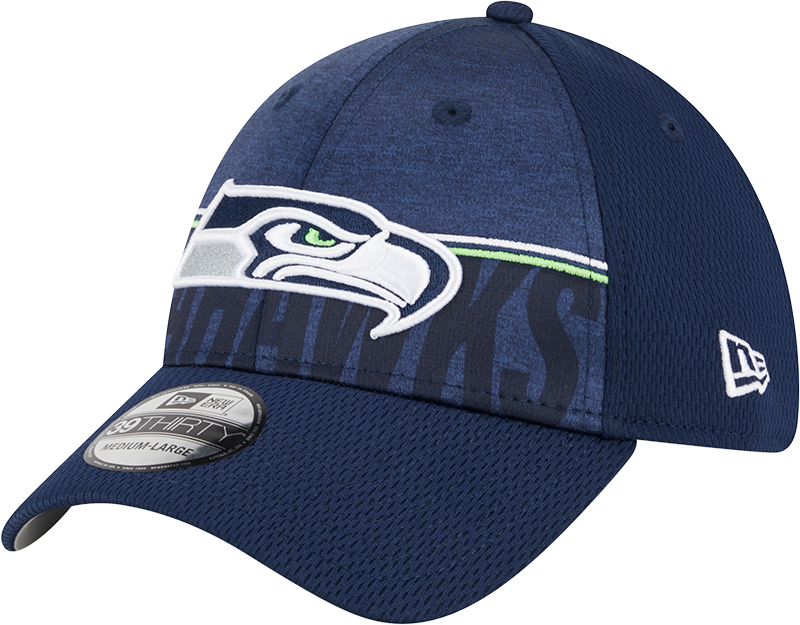 Seattle Seahawks New Era 2023 NFL Training Camp 39THIRTY Flex Hat - Navy