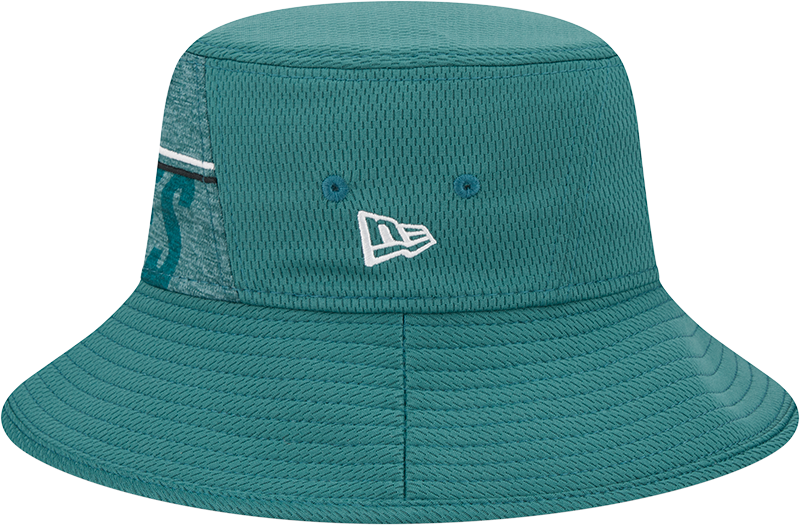 Philadelphia Eagles New Era 2023 NFL Training Camp Stretch Bucket Hat - Green